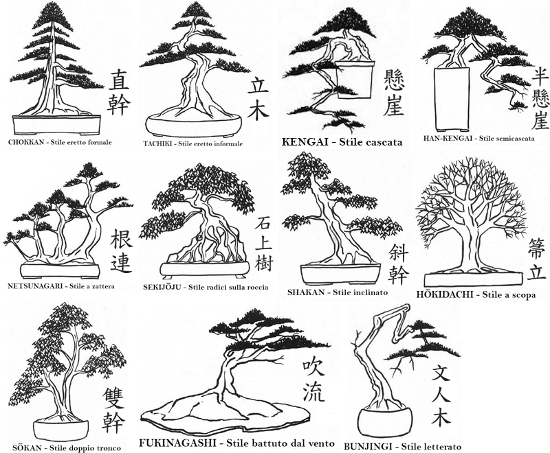 stili-di-bonsai